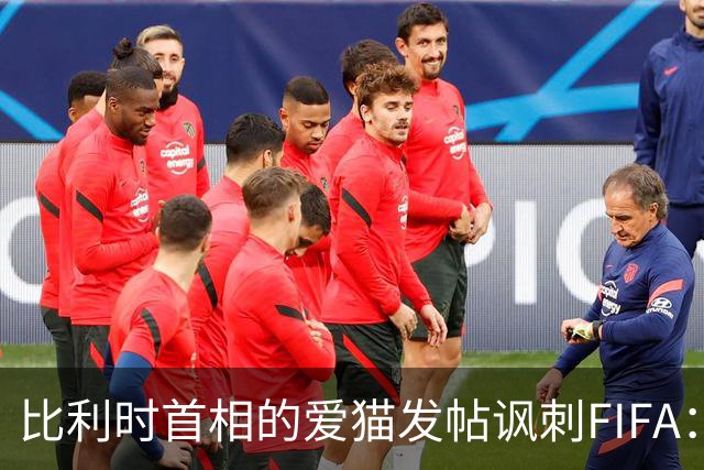 比利时首相的爱猫发帖讽刺FIFA：“红牌？”我照样继续踢！